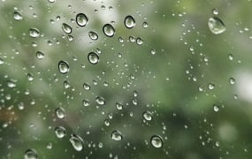 전국 대체로 흐리거나 일부 雨… 낮 최고 22도 