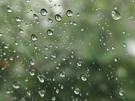 전국 대체로 흐리거나 일부 雨… 낮 최고 22도 [오늘날씨]