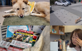 ‘TV동물농장’ 사필귀견 행운이