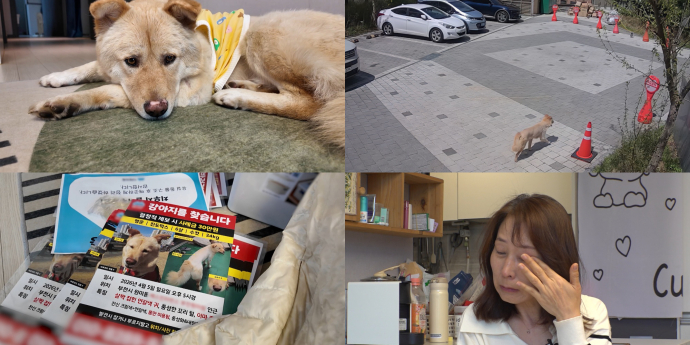 ‘TV동물농장’ 사필귀견 행운이