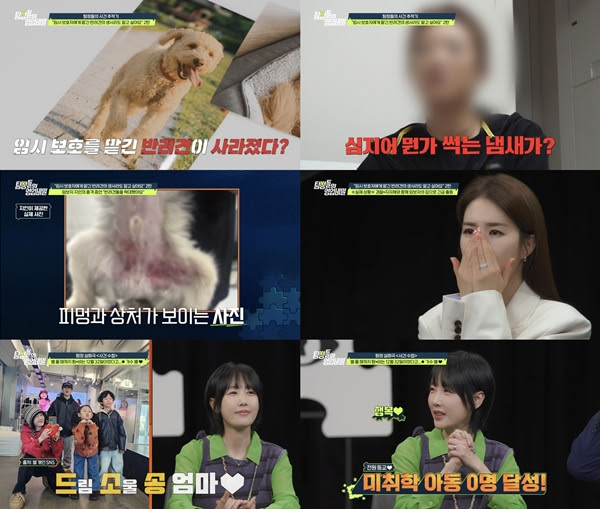 기사 이미지