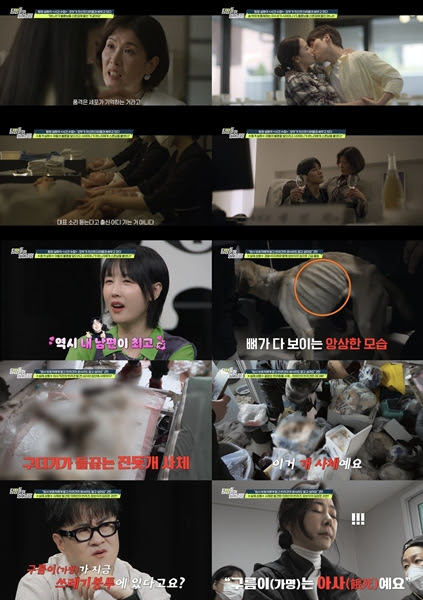 기사 이미지
