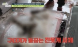 ‘탐정들의 영업비밀’ 반려견 학대에 충격