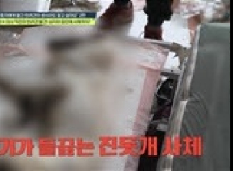 ‘탐정들의 영업비밀’ 반려견 학대에 충격