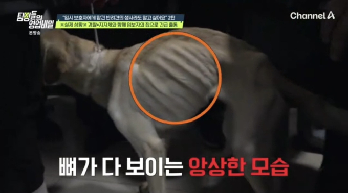 기사 이미지