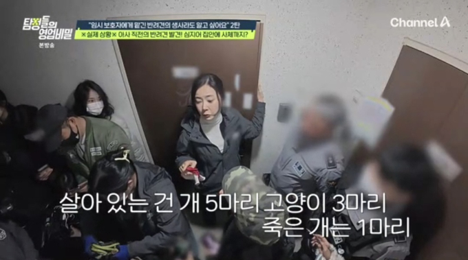 기사 이미지