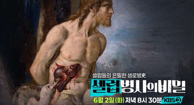 기사 이미지