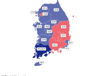 제9회 전국동시지방선거 개표현황 당선인 결과