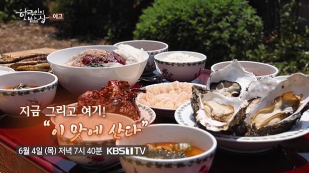 '한국인의 밥상' 고성 꽃돌장어회, 미더덕찜국 편