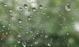 강원·충북 약한 雨… 동해상 돌풍 주의 
