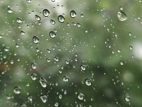 강원·충북 약한 雨… 동해상 돌풍 주의 [내일날씨]