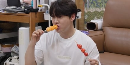 ‘살림남’ 박서진, 성형 전으로 복귀