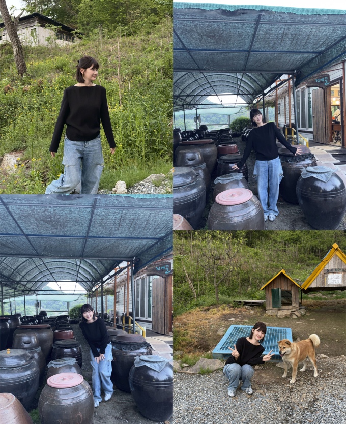 기사 이미지