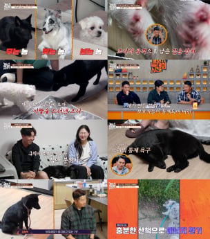 ‘개와 늑대의 시간2’ 무정부 상태 진단
