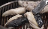 '전현무계획3' 무교동 복어·망원동 뼈해장국 맛집