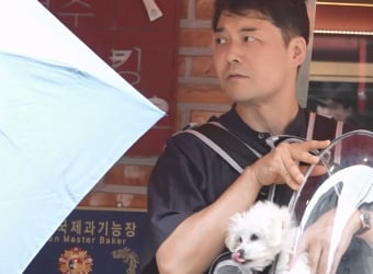 ‘나혼자산다’ 전현무 반려견, 성수동 인싸犬 도전 (나혼산)