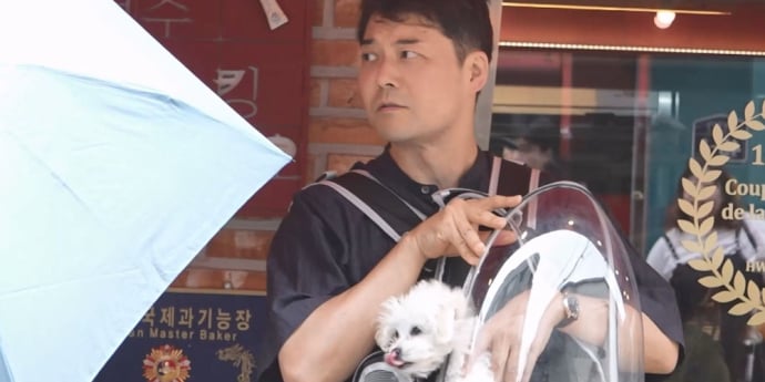‘나혼자산다’ 전현무 반려견, 성수동 인싸犬 도전 (나혼산)