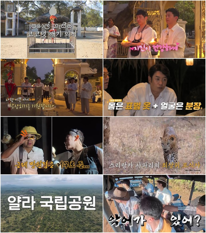 기사 이미지
