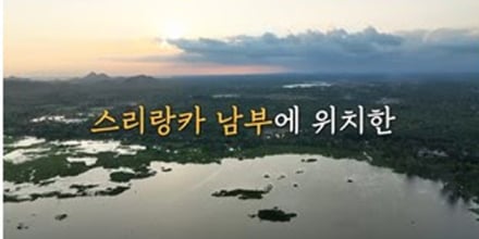 ‘독박투어’ 스리랑카 카타라가마 사원⟶ 얄라 국립공원
