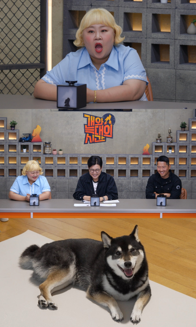 기사 이미지