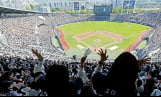 월드컵 개막에도 KBO 관중 ‘이상 무’… 주말 매진 행진