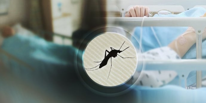 일본뇌염 경보 발령… 대구 모기에서 바이러스 확인