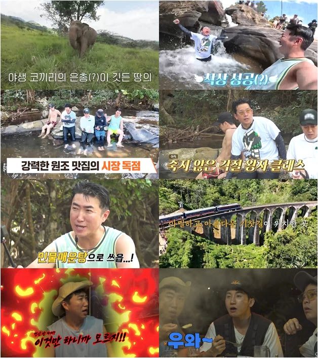 기사 이미지