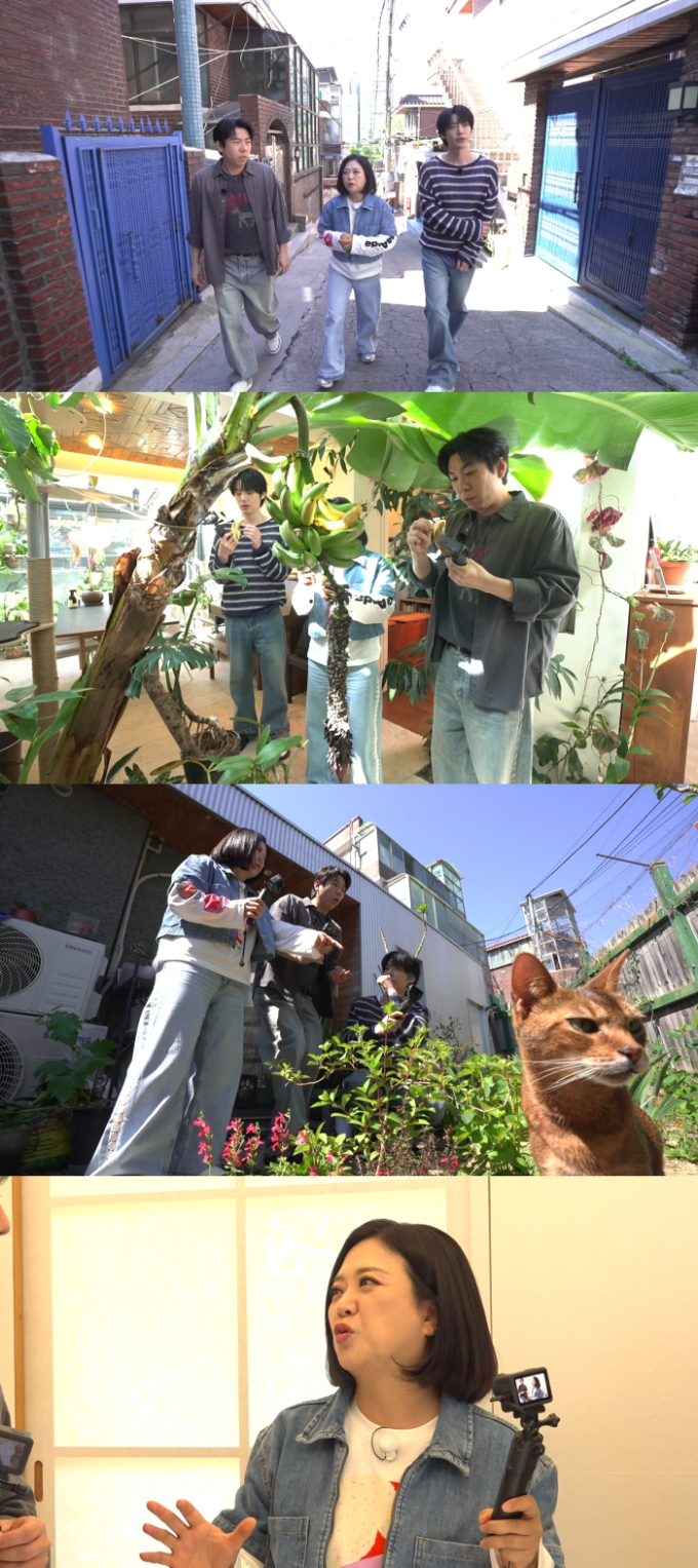 기사 이미지