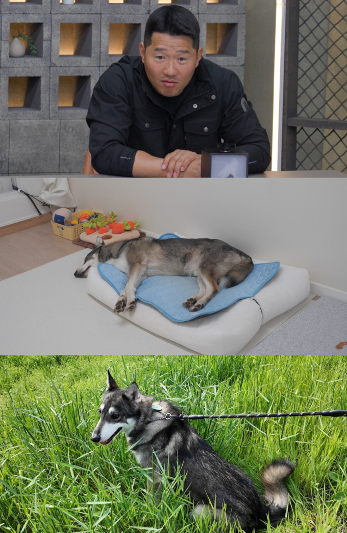기사 이미지