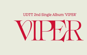 UDTT(우당탕탕 소녀단), 새 싱글 로고 공개