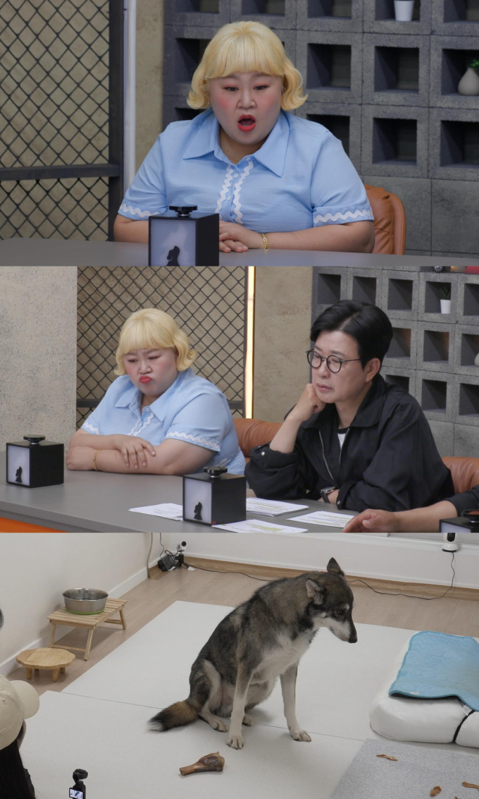 기사 이미지