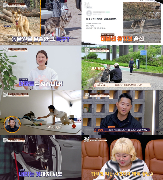 기사 이미지