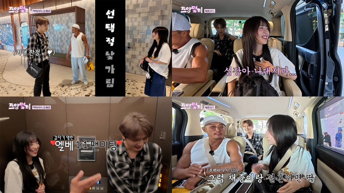 기사 이미지