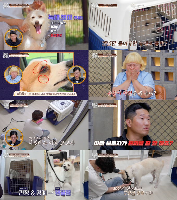 기사 이미지