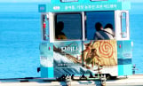 ‘모아나’ 바다의 도시 해운대서 랩핑 열차 운행