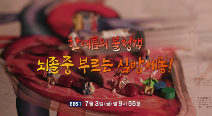 기사 이미지