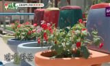 '미우새' 김준호, 변기 왕국 박현순 대표 조명…와이프 김지민 반응은?