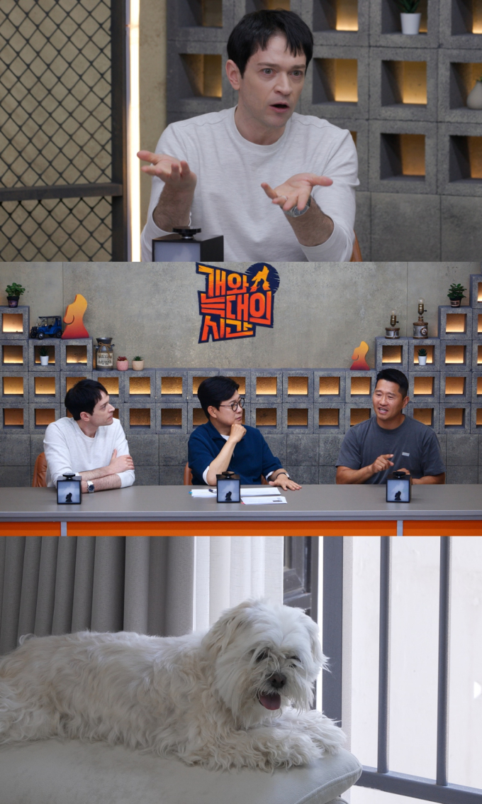 기사 이미지