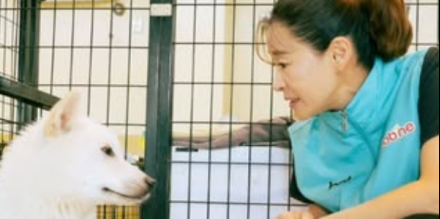 예지원, 유기견들과 함께한 특별한 하루…따뜻한 선행 '훈훈'