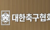 대한축구협회 “청문회 최대한 협조하겠다”