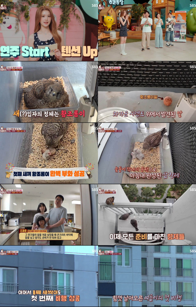기사 이미지