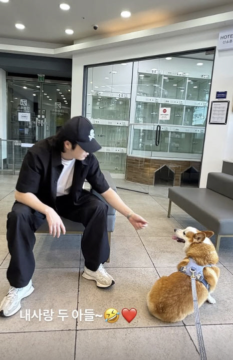기사 이미지