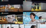 '끼리끼리' 일본행 크루즈 여행