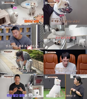 ‘개와 늑대의 시간2’ 순돌·순심 사연