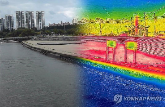 서울 온열질환자, 아침 시간대 급증… “오전 운동도 조심하세요”