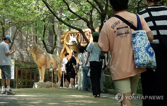 대전오월드, 늑구 복귀 100일 기념 컴백 이벤트 진행