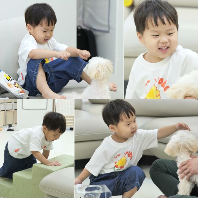 기사 이미지