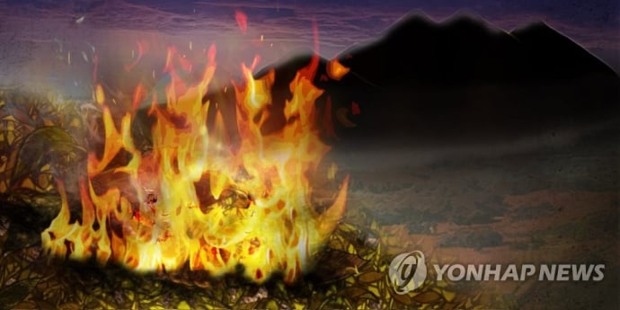 울산 울주 대나무밭서 화재… 헬기 3대 긴급 출동