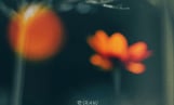 란, 오늘(25일) 신곡 '사랑했던 기억보다' 발매
