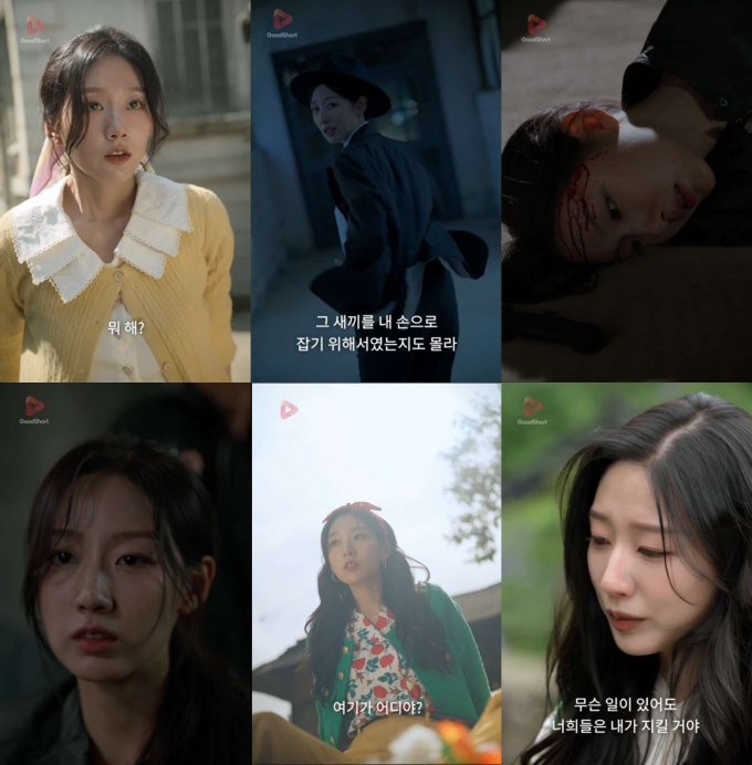 기사 이미지